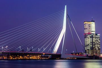 Erasmusbrug Rotterdam van Joni Israeli