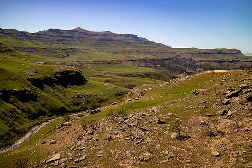Zuid-Afrika – Safari’s, kustlijnen en wijnranken