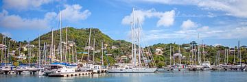 Dans le port de St. George's - Grenade / Caraïbes sur t.ART