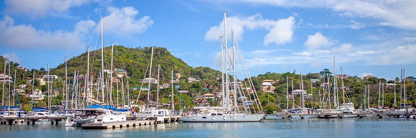 In the port of St. George's - Grenada / Caribbean by t.ART