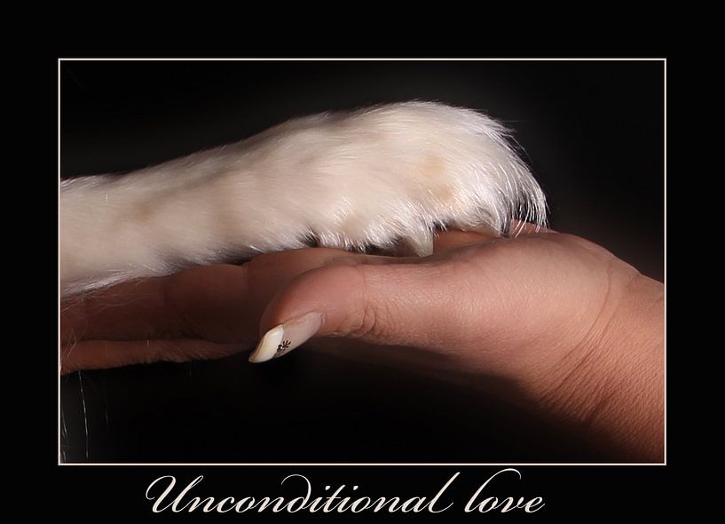 hondenpoot by Nicole Wetzels