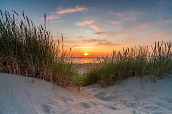 Texel - Plage Paal 28 - beau coucher de soleil