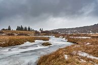 Frozen river in Þingvallir van Andreas Jansen thumbnail