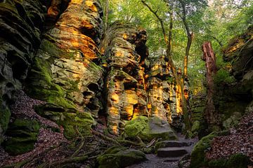 Felsenland in de Zuid-Eifel, Rijnland-Palts, Duitsland van Alexander Ludwig