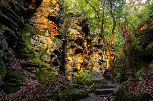 Felsenland in de Zuid-Eifel, Rijnland-Palts, Duitsland