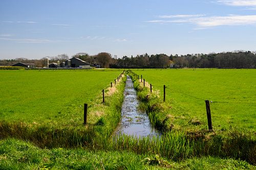 Betoverend Limburgs natuurlandschap: Beek, velden en bossen
