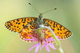 Silbermond von Erik Veltink fotografie