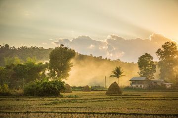 Rijstvelden in Hsipaw, Myanmar van Annemarie Arensen