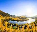 De Moezellus, een prachtige rivier in Duitsland, maakt een lus van 180 graden. met wijngaarden en ee van Fotos by Jan Wehnert thumbnail
