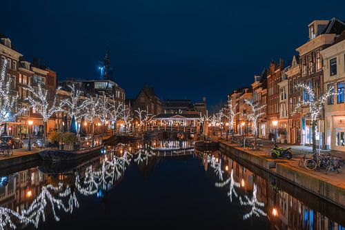 Nieuwe Rijn, Leiden