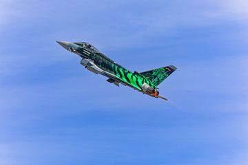 Eurofighter Ghost Tiger tijdens de vlucht van Tilo Grellmann