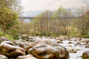 Schottland - Glennfinnan-Viadukt von Ronald Harmsen