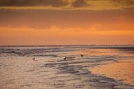 Zonsopgang strand  Schiermonnikoog van Margreet Frowijn thumbnail