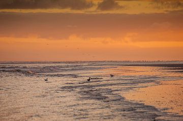 Zonsopgang strand  Schiermonnikoog