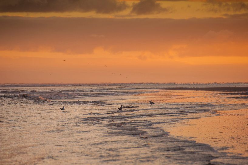 Lever du soleil sur la plage de Schiermonnikoog par Margreet Frowijn