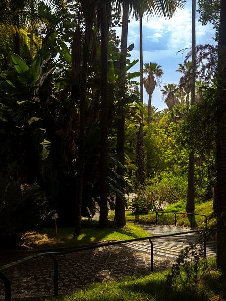 the way to paradise by ky.feografia