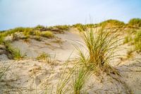Stilte in de Nederlandse duinen