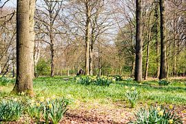 Spring by Willem Scherpenisse