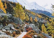 Autumn in a mountain landscape by Merlijn Arina Photography thumbnail