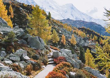 Herfstkleuren in een berglandschap | Landschapsfotografie - Chamonix, Frankrijk van Merlijn Arina Photography