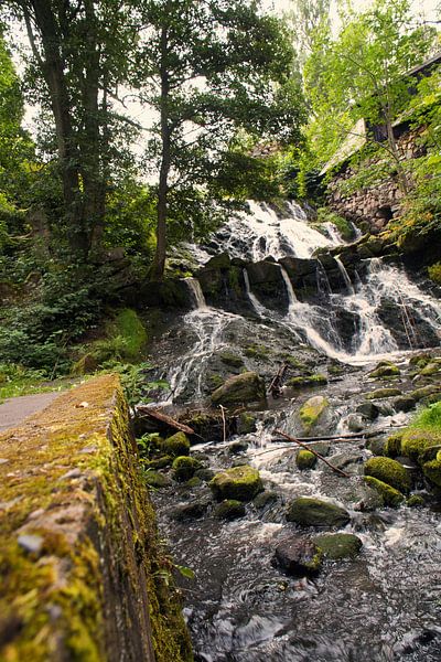 Small waterfall in the forest with moss on stones by Martin Köbsch