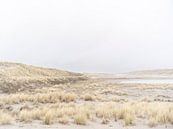 Windige Dünenlandschaft von Laura-anne Grimbergen Miniaturansicht