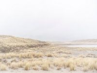 Winderig duinlandschap