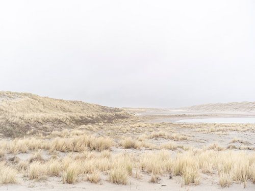 Winderig duinlandschap