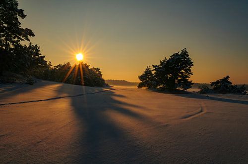 Winterlandschap met sneeuw in op de Veluwe