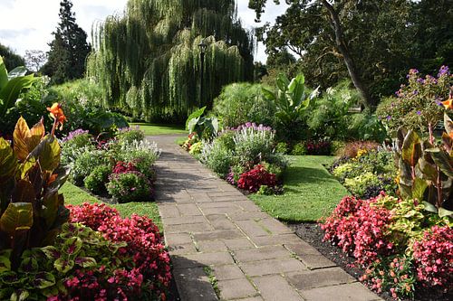 Un sentier du jardin en été