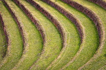 Inca terraces in Pisac, Peru (detail)