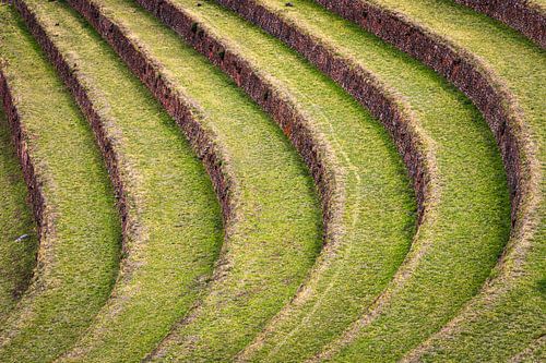 Inca terraces in Pisac, Peru (detail)