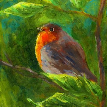 Robin bird in an elder bush by Karen Kaspar