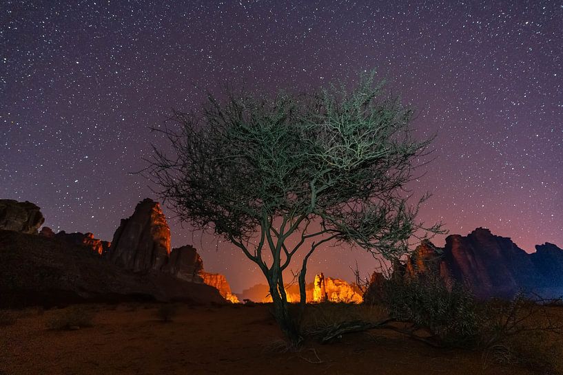 Un arbre du désert sous un ciel étoilé par Jeroen Kleiberg