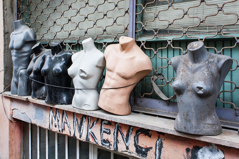Istanbul torso's van Steve Van Hoyweghen