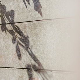 Schattenspiel 01 von Floortje Louise