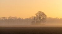 Zonsopkomst over een akker, terp met schuurtje. Nederland.