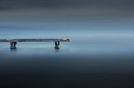 Scaffolding in the water by Josephine Huibregtse thumbnail