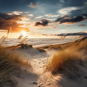 Coucher de soleil sur la plage