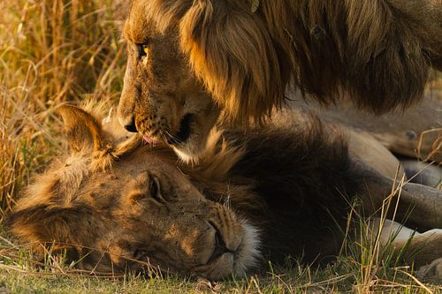 Frères d'armes, partie 2 sur Dazmental