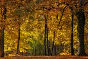Landgut Groeneveld