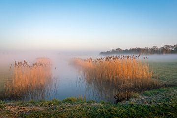 Paysage de polders néerlandais tôt le matin