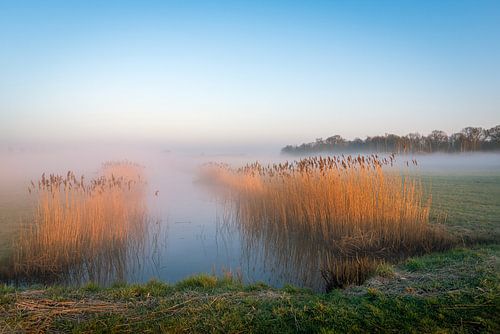 Nederland polderlandschap vroeg in de ochtend