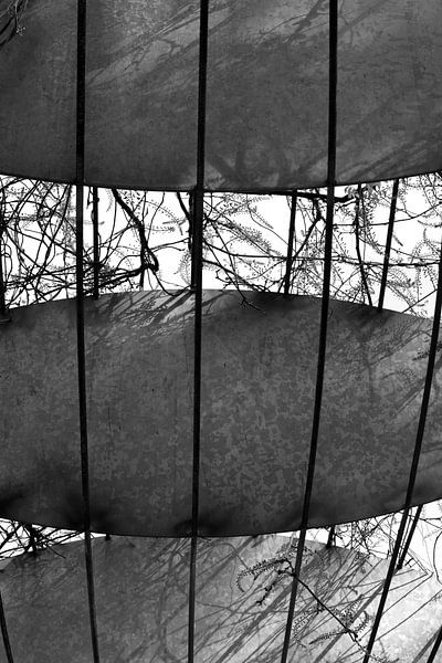 Das tägliche Leben von JRobert Photography