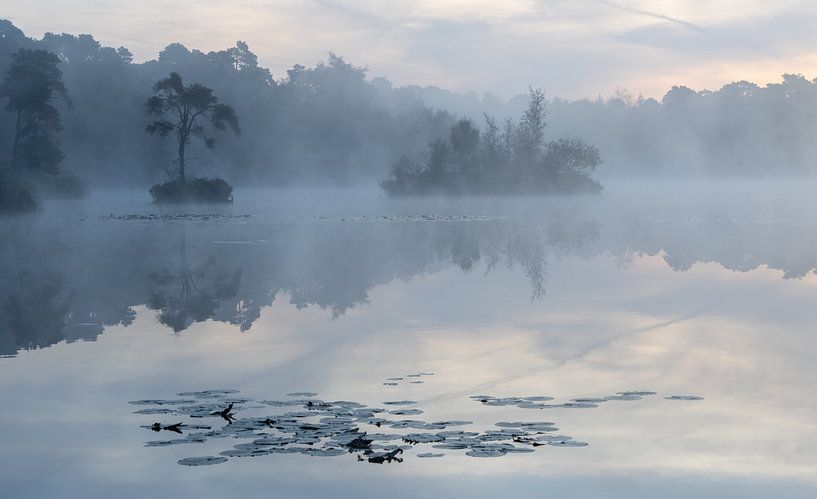 Matin bleu : Voorste Goorven, Oisterwijk NB. NL par Vivianne Molenaar-Seinen
