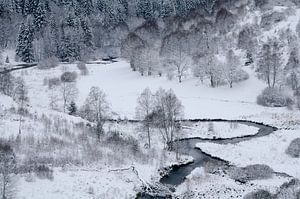L'hiver dans la vallée de Perlenbach - Merveilleuse Eifel sur Rolf Schnepp