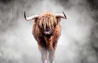 Schotse Hooglander