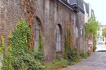 Romantisch oud straatje in het centrum van Dordrecht van Nicolette Vermeulen