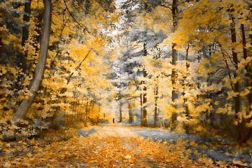 Wandeling in het herfstbos van ahafineartimages