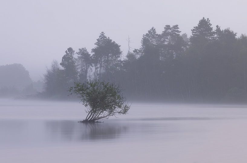 Dwingelderveld - Drenthe (Netherlands) by Marcel Kerdijk